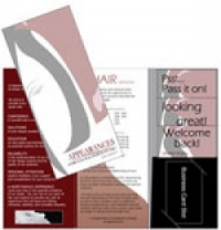 step inserts folder