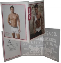 tri fold folders