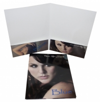 Die Cut Folders Printing